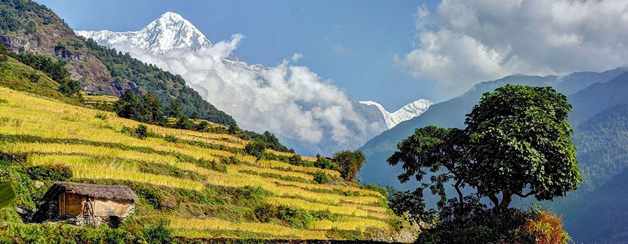 12 Days Bhutan Tour - Trek