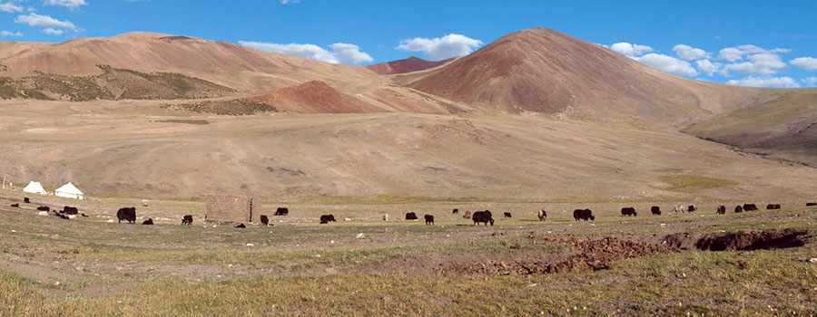 The Rupshu Trek
